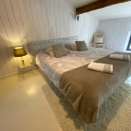 Holiday home Les Petits Bonheurs - Grand De Charme Aux Portes De Carcassonne 12 Personnes *