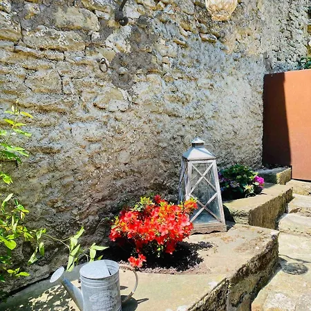 Les Petits Bonheurs - Grand De Charme Aux Portes De Carcassonne 12 Personnes Prázdninový dům